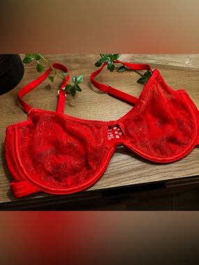 Lounge 34 DD Sheer Red Lace Underwire Bra with Floral Detail